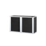 2 Panels Hanging Cabinet