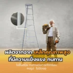 บันไดเก็บผลไม้ - Image 3