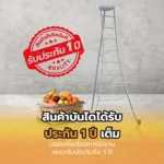 บันไดเก็บผลไม้ - Image 7