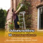 บันไดเก็บผลไม้ - Image 8