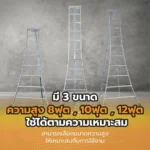 บันไดเก็บผลไม้ - Image 9